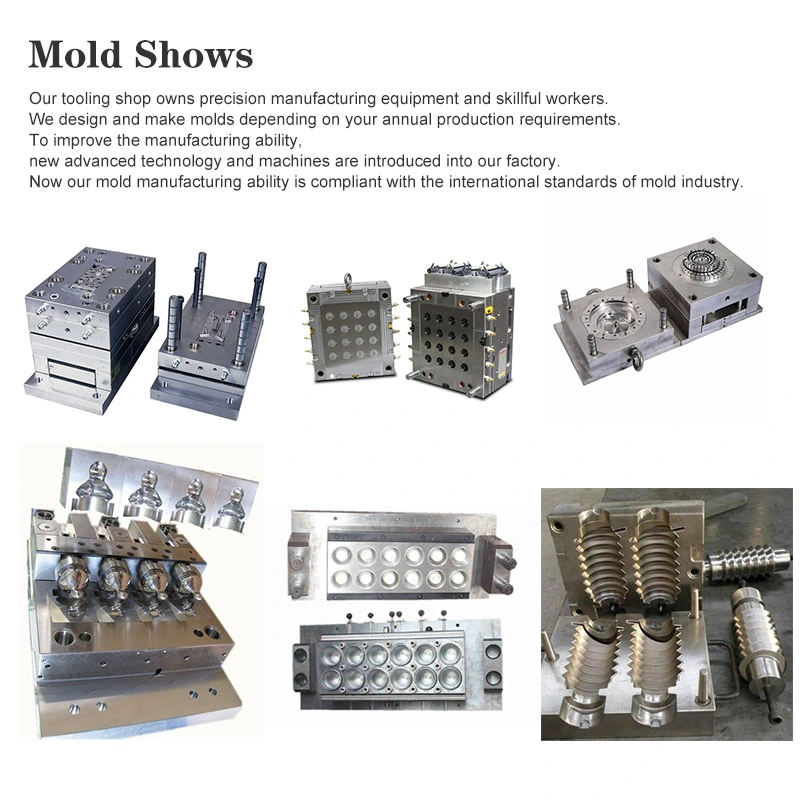Plastic Injection Mould and Molding for Syringe Injector